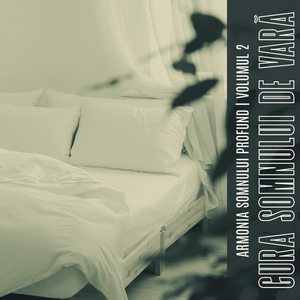 Nopți Răcoritoare de Vară