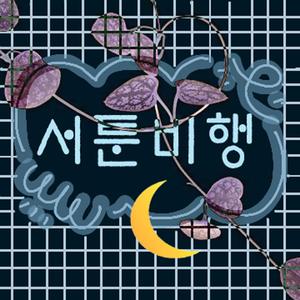 서툰비행