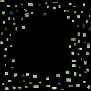 Serrasalmus spilopleura