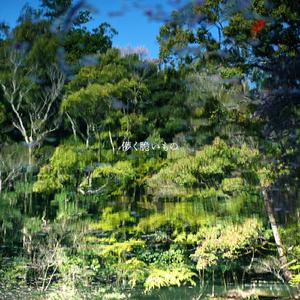 桜の花が咲く頃