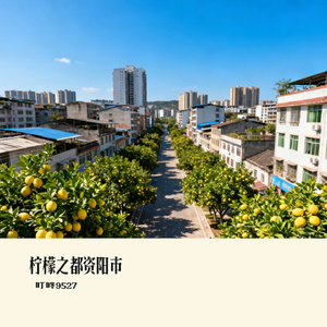 柠檬之都资阳市