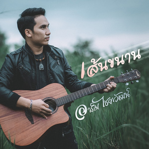 เส้นขนาน