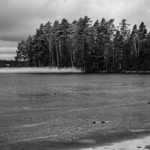 Why (feat. Beckfords)