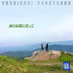 From the top on a green roof.