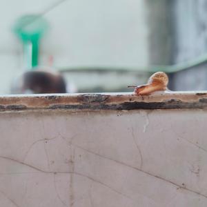 父亲写的散文诗