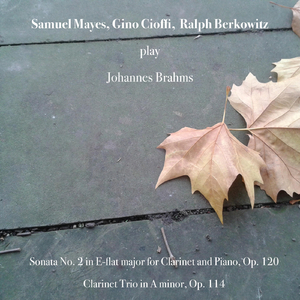 Sonata No. 2 in E-Flat Major for Clarinet and Piano, Op. 120: III. Andante con moto - Allegro non troppo