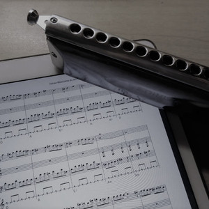 TOTORO Suite - 龙猫卡通配乐组曲（口琴）