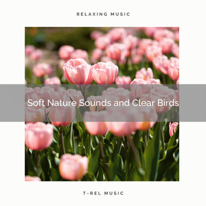 Feel Sleep with Soothing Nature Music for Calm down pt. 1