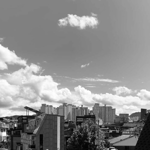 그저 그런 여름