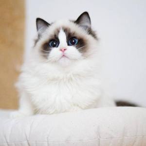 I wish you come before I am getting old