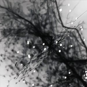 【Free】幻想HipHop Beat