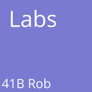 Labs
