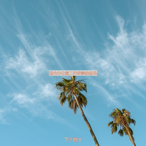 办公室工作老的爵士