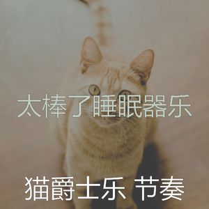 诗意的猫在家节奏