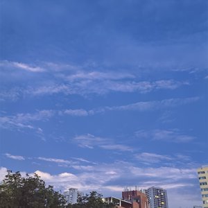 这是独属于二次元的诀别书