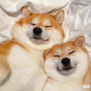 忽然之间