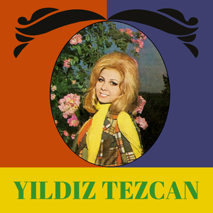 Bir Dost Bulamadım