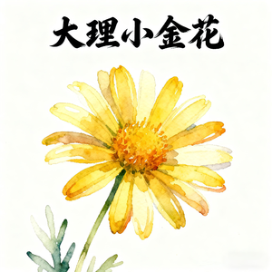 大理小金花(永恒的童声)