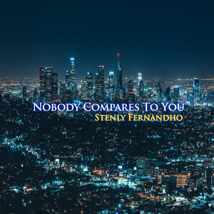 Nobody Compares to You (Remix)