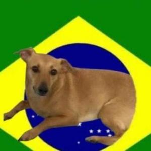 Funk Brasil