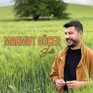 Şahi