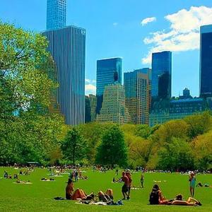 Everything Is Turning Bright