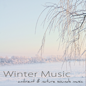 The Swan, Le Carnaval des Animaux: XIII. Le Cygne (Classical Music New Age Version)