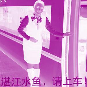 湛江水鱼，请上车（REMIX）