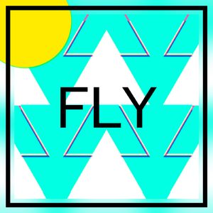 FLY