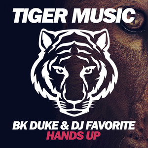 Hands Up (Dany Cohiba Dub Mix)