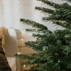 葬我爱着他 (伴奏)