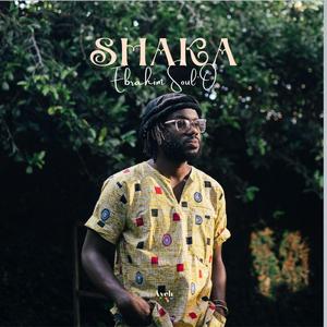 Nalwaawo (feat. Aliddeki Brian)