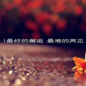 新星学校校歌（徐州市铜山区黄集镇）