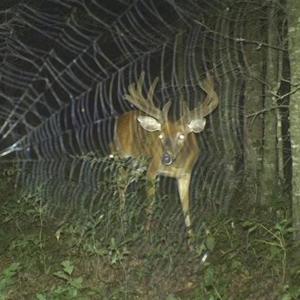 la pluie ne s'arrête pas