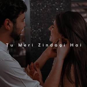 Tu Meri Zindagi Hai
