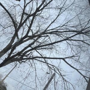 wow (feat. xstasyslim)