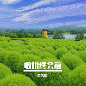敢拼终会赢