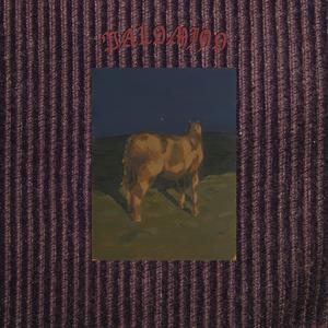 Palomino