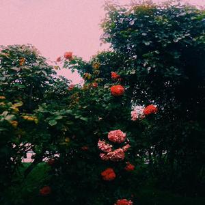 There's Noise All Around Me (U.K. Version)