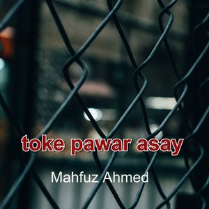 Toke Pawar Asay