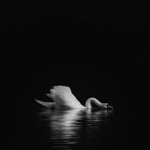 又不是真的爱(1)