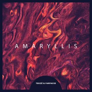 Amaryllis