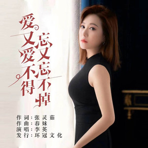 爱又爱不得忘又忘不掉 (DJ彭锐版)