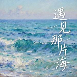 遇见那片海 (许衍 Xyan Remix)