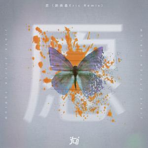 Jiaye-愿（颜辰鑫Eric remix）