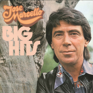 Baretta's Theme