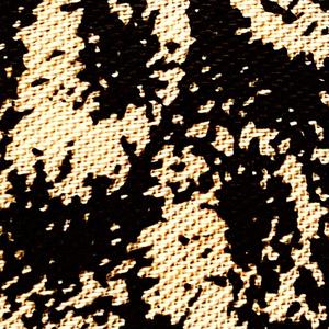 Não Conte com Ninguém