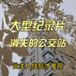 大型纪录片传奇《消失的公交站》