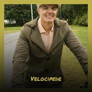 Instinctive Luminosity