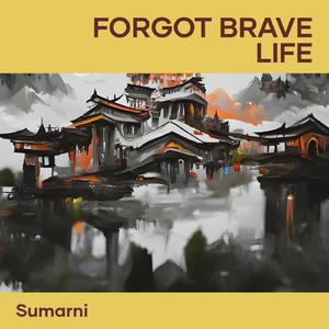 Forgot Brave Life